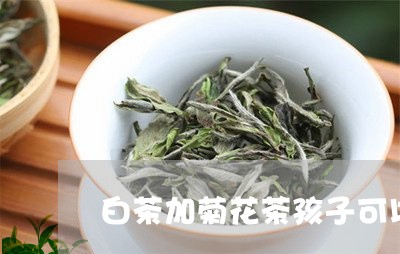 白茶加菊花茶孩子可以喝吗/2023041222713