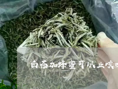 白茶加蜂蜜可以止咳吗小孩/2023040969595