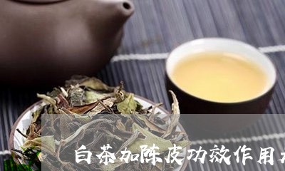 白茶加陈皮功效作用是什么/2023040913928