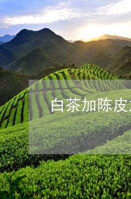 白茶加陈皮加红枣可以喝吗/2023040947470