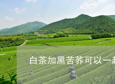 白茶加黑苦荞可以一起喝吗/2023041390361