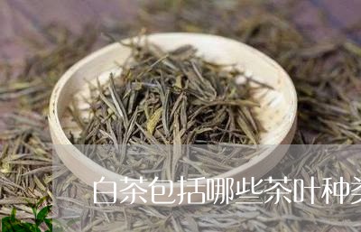 白茶包括哪些茶叶种类图片/2023041397260