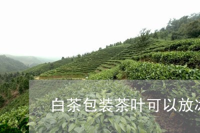 白茶包装茶叶可以放冰箱吗/2023041083825