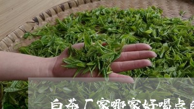 白茶厂家哪家好喝点的茶叶/2023041101593