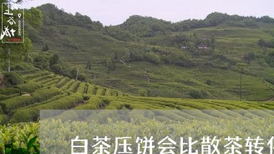 白茶压饼会比散茶转化快吗/2023041445058