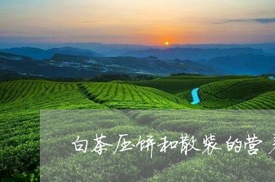 白茶压饼和散装的营养区别/2023041130461