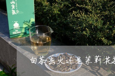 白茶去火还是茉莉花茶去火/2023041430624