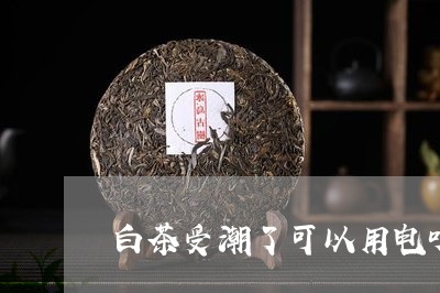 白茶受潮了可以用电吹风吹/2023041166947