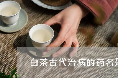 白茶古代治病的药名是什么/2023041125580