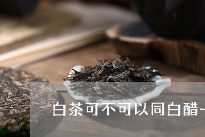 白茶可不可以同白醋一起吃/2023041150473