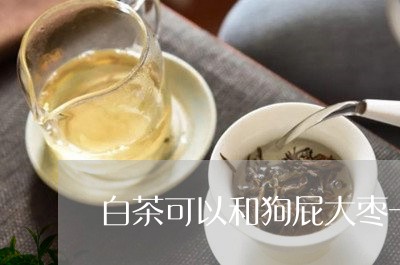 白茶可以和狗屁大枣一起煮/2023041159381