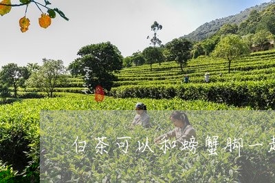 白茶可以和螃蟹脚一起泡吗/2023041118401