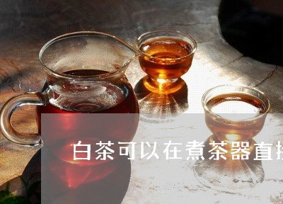 白茶可以在煮茶器直接煮吗/2023041129593