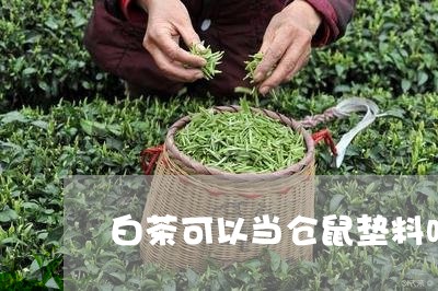 白茶可以当仓鼠垫料吗视频/2023041408382