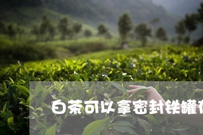 白茶可以拿密封铁罐存放吗/2023041413929