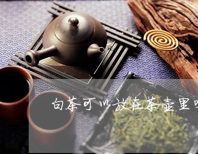 白茶可以放在茶壶里吗冬天/2023041408471