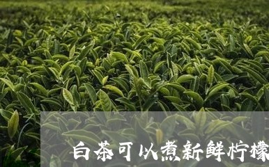 白茶可以煮新鲜柠檬吗百度/2023041075051