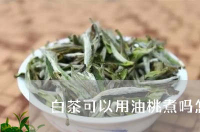 白茶可以用油桃煮吗怎么煮/2023041092816