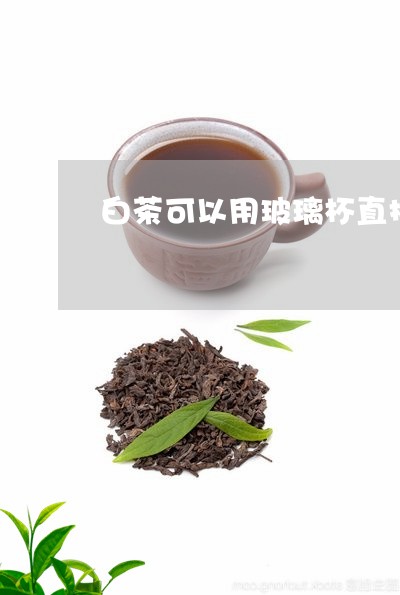 白茶可以用玻璃杯直接泡吗/2023041392816