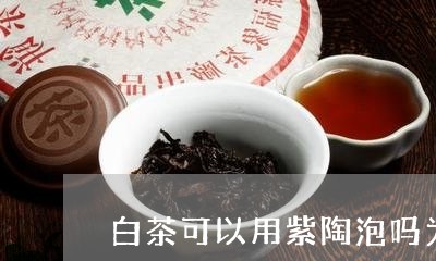 白茶可以用紫陶泡吗为什么/2023041062616