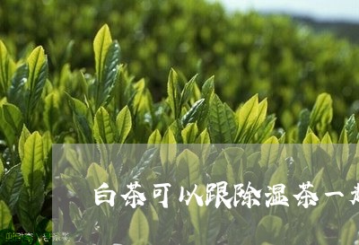 白茶可以跟除湿茶一起泡吗/2023041016159