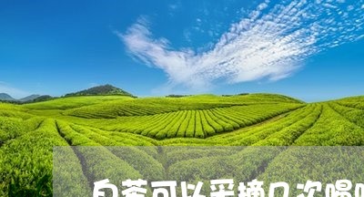 白茶可以采摘几次喝吗图片/2023041068561