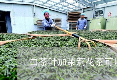 白茶叶加茉莉花茶可以喝吗/2023041160725