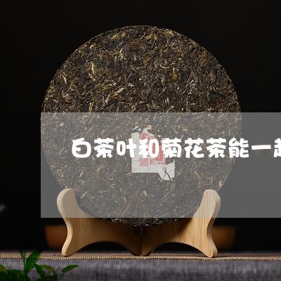 白茶叶和菊花茶能一起泡吗/2023041449491