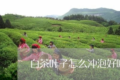 白茶叶子怎么冲泡好喝视频/2023041410704