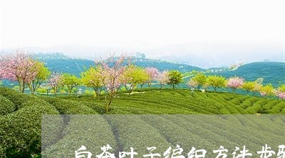 白茶叶子编织方法步骤视频/2023041104757