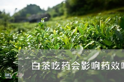 白茶吃药会影响药效吗/2023041161737