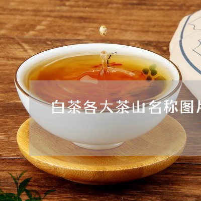 白茶各大茶山名称图片介绍/2023041168502