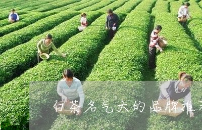 白茶名气大的品牌推荐一下/2023041481584