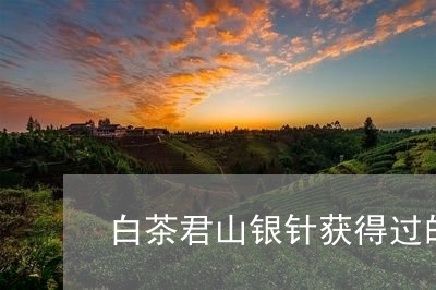 白茶君山银针获得过的美誉/2023041145349