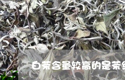 白茶含量较高的是茶红素吗/2023041060694