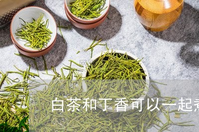 白茶和丁香可以一起煮喝吗/2023041152826