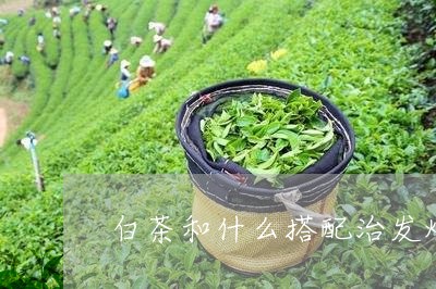 白茶和什么搭配治发烧感冒/2023041171624