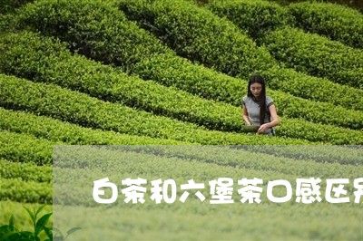 白茶和六堡茶口感区别大吗/2023041133904