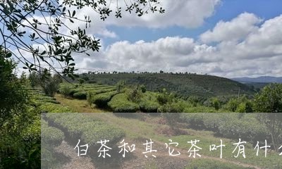 白茶和其它茶叶有什么区别/2023041107479