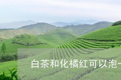 白茶和化橘红可以泡一起吗/2023041175259