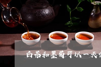 白茶和墨菊可以一天使用吗/2023041174925