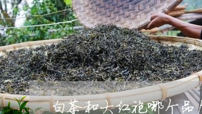 白茶和大红袍哪个品质高些/2023041019492