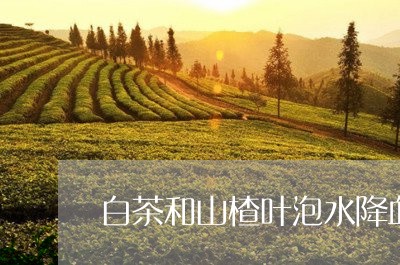 白茶和山楂叶泡水降血糖吗/2023041461816