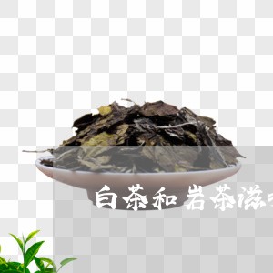 白茶和岩茶滋味一样吗百度/2023041115940