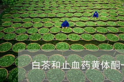 白茶和止血药黄体酮一起喝/2023041494139