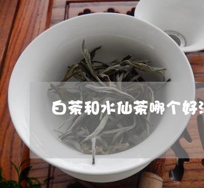 白茶和水仙茶哪个好泡一些/2023041171817