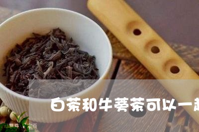 白茶和牛蒡茶可以一起喝吗/2023041408462