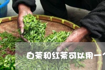 白茶和红茶可以用一个壶吗/2023041025159