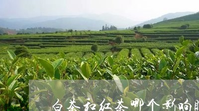 白茶和红茶哪个影响睡眠好/2023041015946