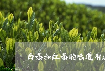 白茶和红茶的味道有点一样/2023041145248